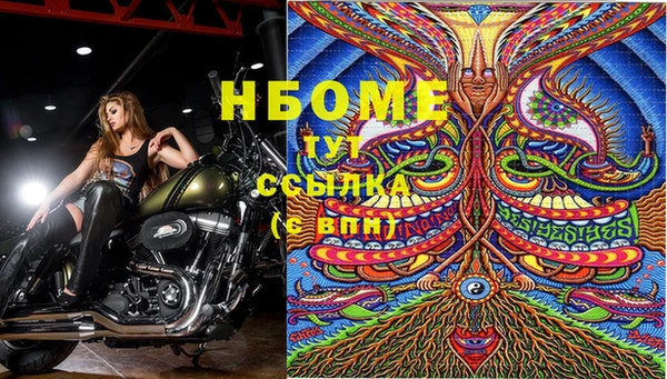 дживик Костерёво