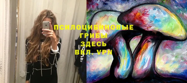 трава Краснослободск
