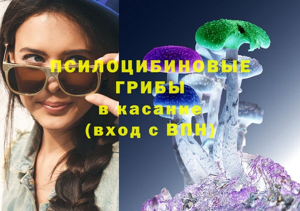 таблы Козельск
